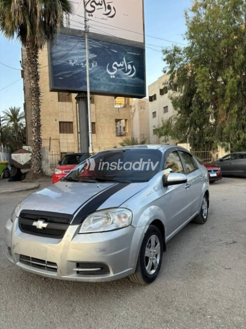 Chevrolet Aveo 2010 Gray Used for Sale - 2