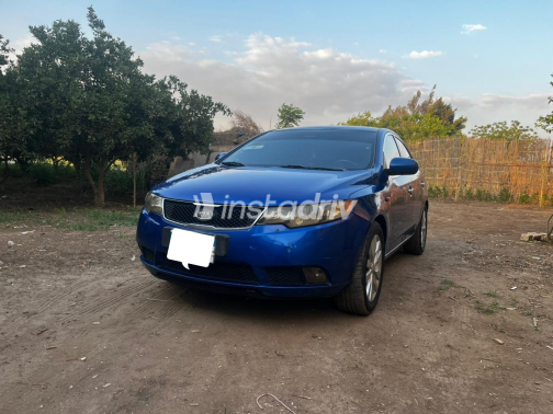 Kia Forte 2009 Blue Used for Sale - 3