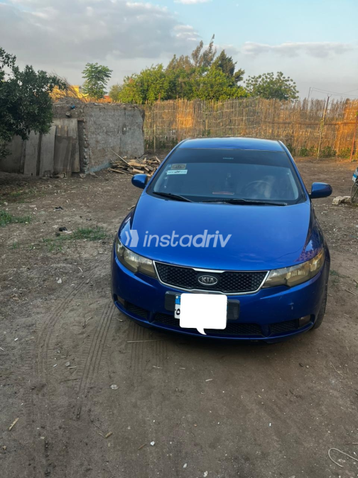Kia Forte 2009 Blue Used for Sale - 6
