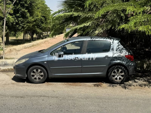 Peugeot 307 2007 Gray Used for Sale - 1