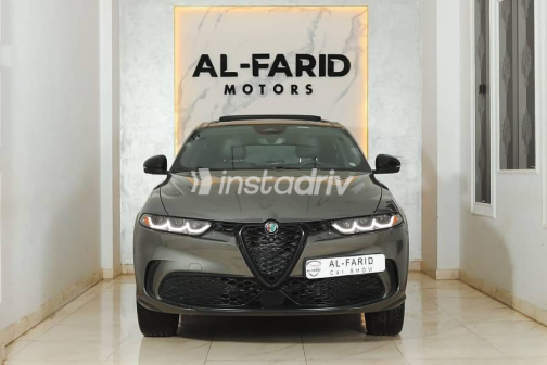 الفاروميو تونالى 2024 رمادي مستعملة للبيع - 5