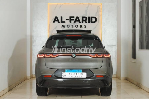 الفاروميو تونالى 2024 رمادي مستعملة للبيع - 6