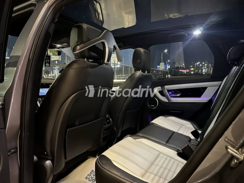 Land Rover Discovery 2020 Gray Used for Sale - 4