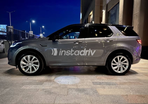 Land Rover Discovery 2020 Gray Used for Sale - 5