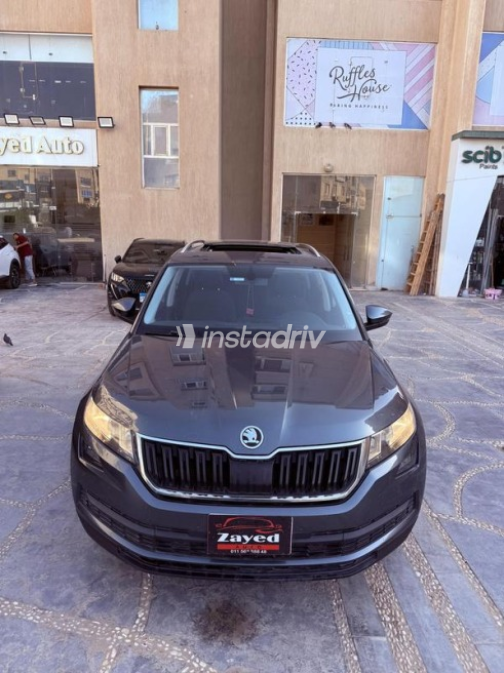 Skoda Kodiaq 2019 Gray Automatic Used for Sale in Sheikh Zayed City - 1