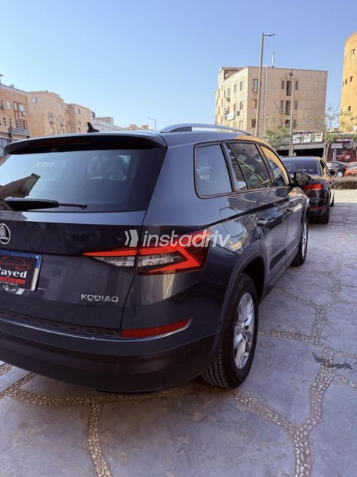 Skoda Kodiaq 2019 Gray Automatic Used for Sale in Sheikh Zayed City - 4