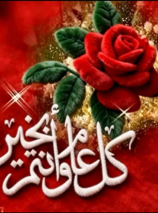 هيونداي فيرنا 2008 فضي يدوي مستعملة للبيع في البحيرة