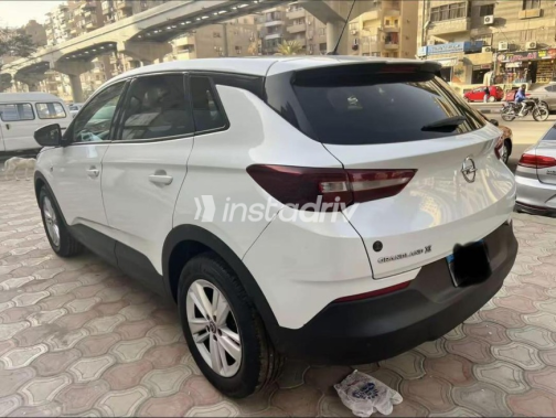 Opel Grandland 2019 White Automatic Used for Sale in Nasr city - 6