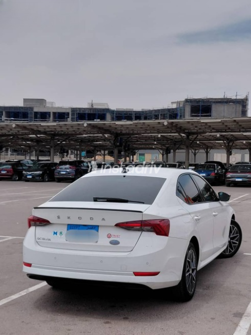 Skoda Octavia 2021 White Automatic Used for Sale in Alexandria - 3