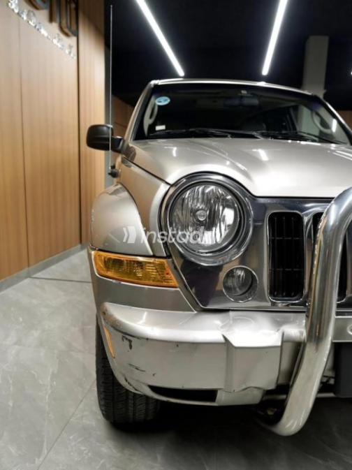 Jeep Liberty 2007 Gray Automatic Used for Sale in Cairo - 2