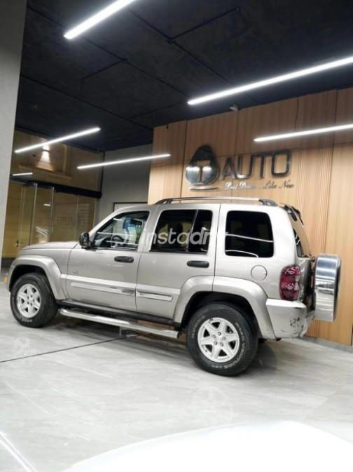 Jeep Liberty 2007 Gray Automatic Used for Sale in Cairo - 5