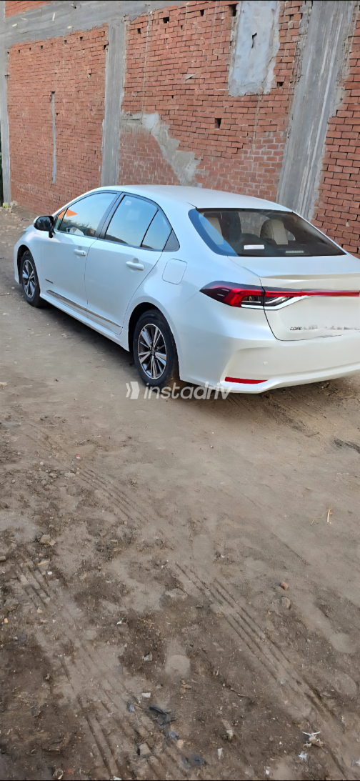 Toyota Corolla 2020 White Manual Used for Sale in Tanta - 4