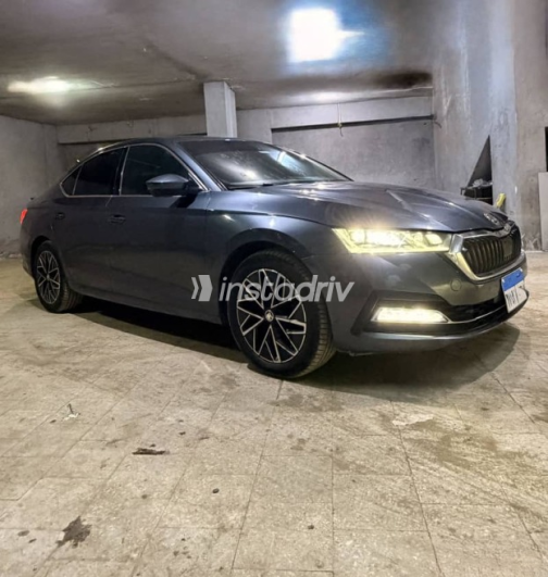 Skoda Octavia 2021 Gray Automatic Used for Sale in Greater Cairo ( Cairo + Giza) - 1
