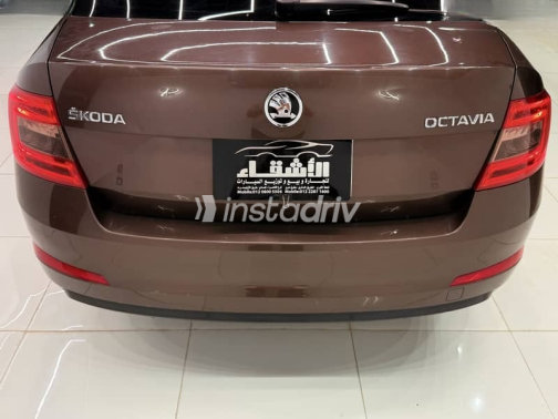 Skoda Octavia 2016 Brown Automatic Used for Sale in Greater Cairo ( Cairo + Giza) - 2