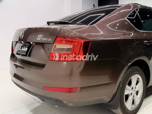 Skoda Octavia 2016 Brown Automatic Used for Sale in Greater Cairo ( Cairo + Giza) - 5