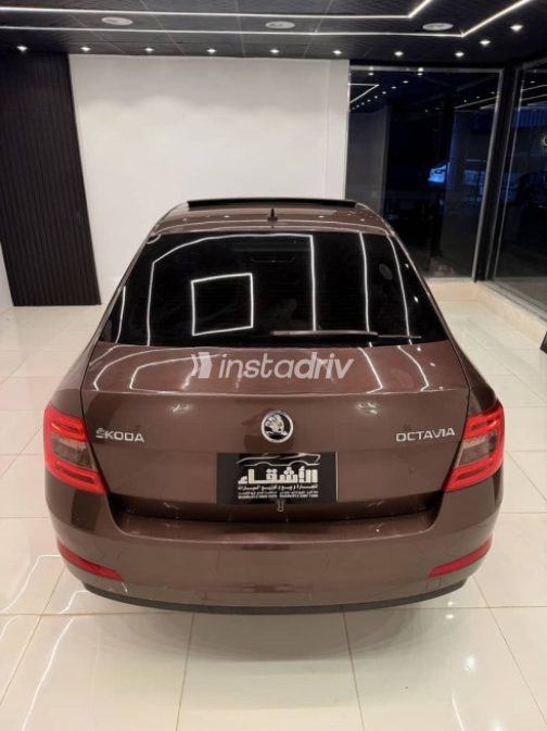Skoda Octavia 2016 Brown Automatic Used for Sale in Greater Cairo ( Cairo + Giza) - 7