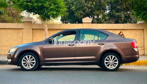Skoda Fantasia 2014 Brown Automatic Used for Sale in Downtown - 3