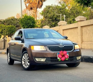 Skoda Fantasia 2014 Brown Automatic Used for Sale in Downtown