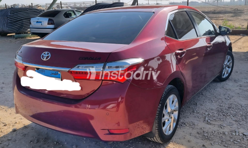 Toyota Corolla 2017 White Automatic Used for Sale in Mansoura - 9