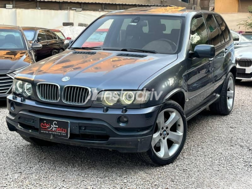 بي ام دبليو X5 2001 رمادي أوتوماتيك مستعملة للبيع في مصر الجديدة - 3