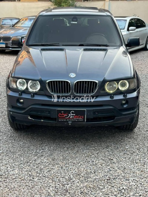 بي ام دبليو X5 2001 رمادي أوتوماتيك مستعملة للبيع في مصر الجديدة - 10