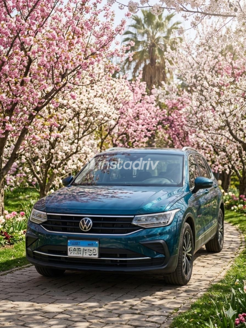 Volkswagen Tiguan 2024 Turquoise Automatic Used for Sale in 10th of Ramadan - 1