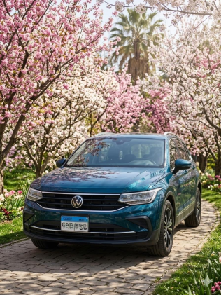 Volkswagen Tiguan 2024 Turquoise Automatic Used for Sale in 10th of Ramadan