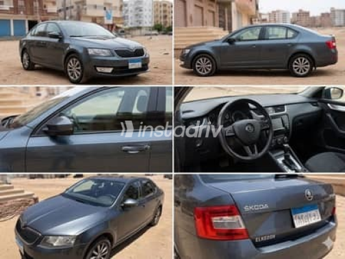 Skoda Octavia 2016 Gray Automatic Used for Sale in Greater Cairo ( Cairo + Giza) - 1