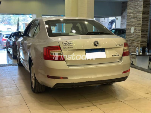 Skoda Octavia 2016 Silver Automatic Used for Sale in Giza - 4