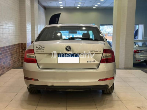 Skoda Octavia 2016 Silver Automatic Used for Sale in Giza - 6