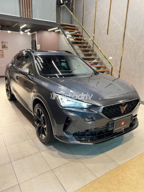 Cupra Formentor 2024 Gray Automatic Used for Sale in Greater Cairo ( Cairo + Giza) - 2