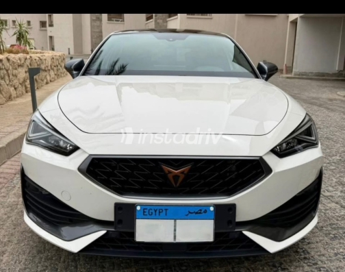 كوبرا فورمينتور 2024 أبيض أوتوماتيك مستعملة للبيع في رأس غارب - 6