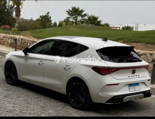 كوبرا فورمينتور 2024 أبيض أوتوماتيك مستعملة للبيع في رأس غارب - 8