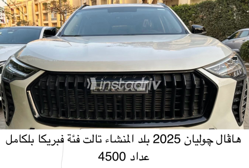 هافال جوليان 2025 أبيض أوتوماتيك مستعملة للبيع في الجيزة - 8