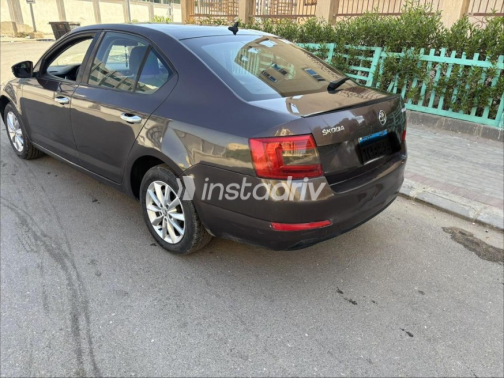 سكودا اوكتافيا A7 2014 بني أوتوماتيك مستعملة للبيع في القاهرة - 2