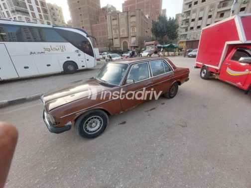 مرسيدس 200 1981 أخضر أوتوماتيك مستعملة للبيع في المنصورة - 10