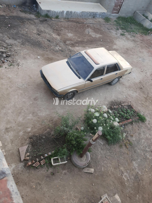 Peugeot 505 1981 Bronze Manual Used for Sale in Greater Cairo ( Cairo + Giza) - 1