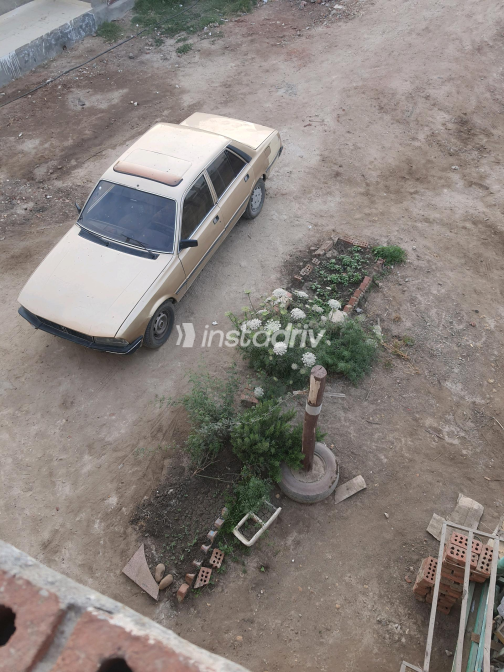 Peugeot 505 1981 Bronze Manual Used for Sale in Greater Cairo ( Cairo + Giza) - 2