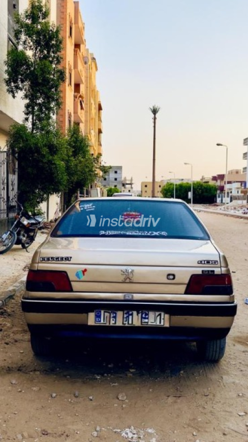 بيجو 405 1996 ذهبي يدوي مستعملة للبيع في مدينة بدر - 6