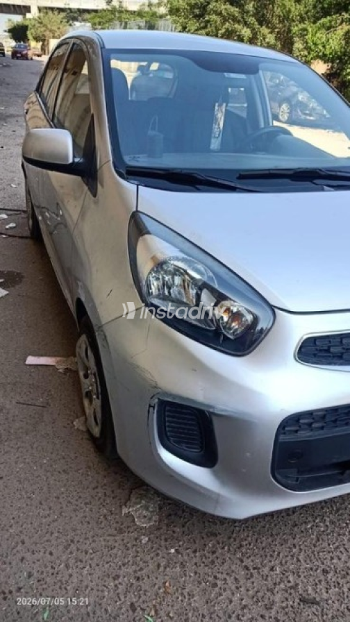 Kia Picanto 2016 Silver Automatic Used for Sale in Alexandria - 2