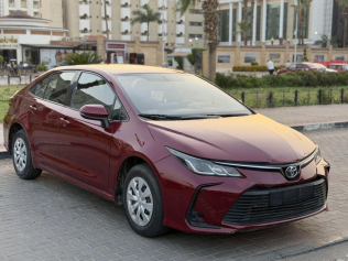 Toyota Corolla 2019 Dark Red Automatic Used for Sale in Greater Cairo ( Cairo + Giza)