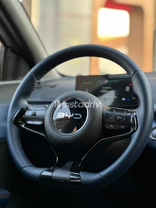 Byd Seagull 2025 White Automatic Used for Sale in Cairo - 7