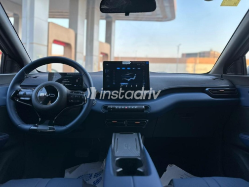 Byd Seagull 2025 White Automatic Used for Sale in Cairo - 10