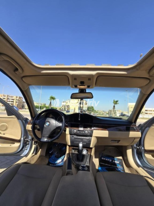 BMW 320 2009 Cyan Automatic Used for Sale in 6 October - 8