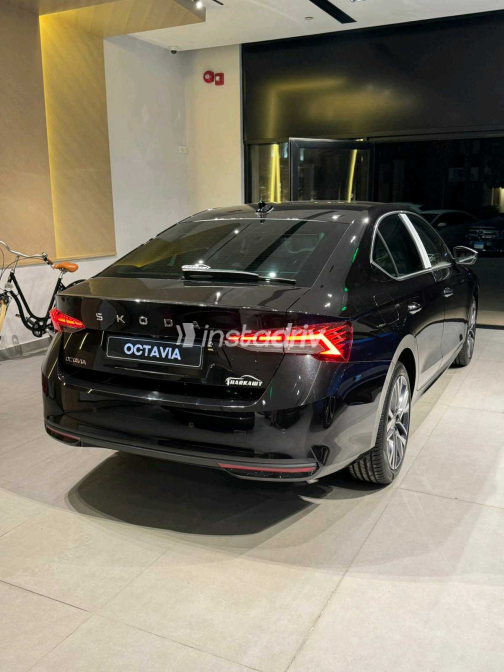Skoda Octavia 2026 Black Automatic Used for Sale in Cairo - 4