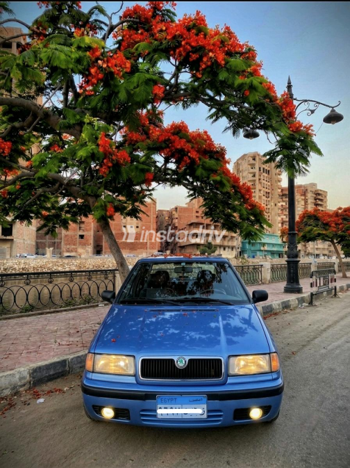 سكودا فيليشيا 2000 أزرق يدوي مستعملة للبيع في طنطا - 5