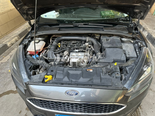 Ford Focus 2017 Gray Automatic Used for Sale in Sadat City - 7