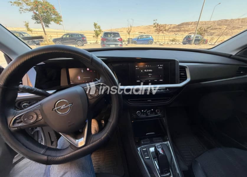 Opel Grandland 2024 Silver Automatic Used for Sale in Greater Cairo ( Cairo + Giza) - 6