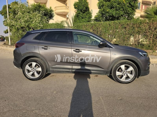 Opel Grandland 2021 Silver Automatic Used for Sale in Madinaty - 10