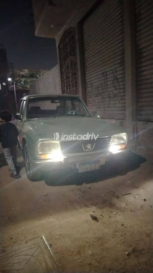 بيجو 504 1979 أخضر يدوي مستعملة للبيع في حدائق الزيتون - 4